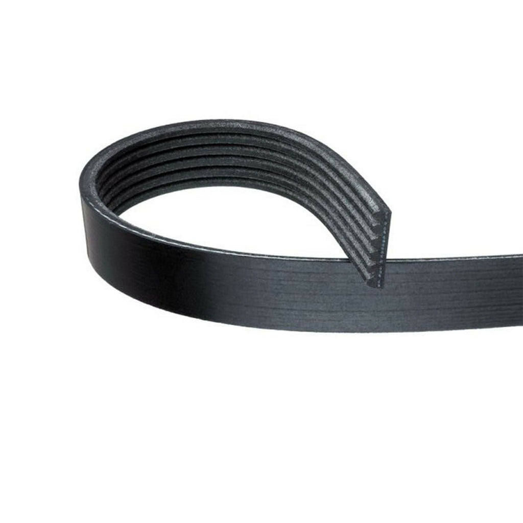 V-Ribbed Belt Multi V Belt 6Pk1042 Fits Ford Fiesta Fusion Focus 1843766